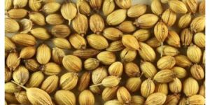 Coriander Seeds