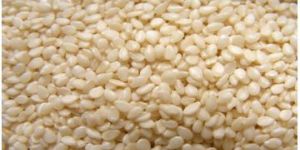 Hulled Sesame