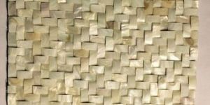 Sea Shell Wall Tiles