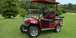 Specialty Cart Vehicle Seat Belt