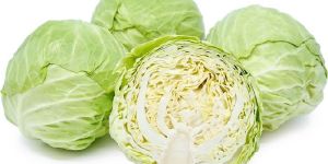 Fresh Cabbage