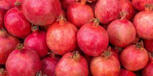 Fresh Pomegranate