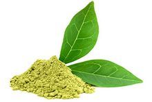 Green Tea Extract