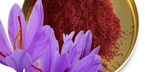 Saffron Oil