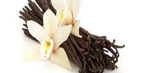 Vanilla Oil