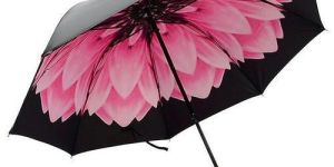 Printed Umbrella