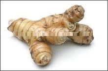 Galangal Powder