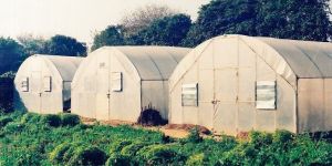 U.V. Stabilized Polythene Sheet