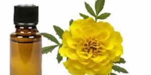 Tagetes Oil