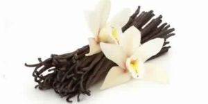 Vanilla Oil