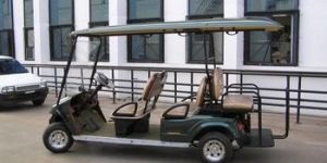 Electric Golf Cart