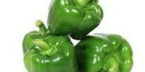 Fresh Green Capsicum