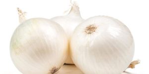 Fresh White Onion