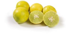 Fresh Yellow Lemon