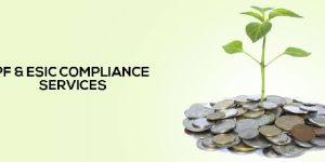 PF AND ESI CONSULTANT