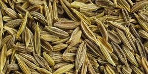 Cumin Seeds