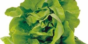 Leafy Vegetables