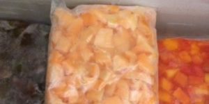 Froze Muskmelon Slices