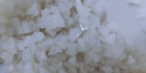 Frozen Tender Coconut Titbits