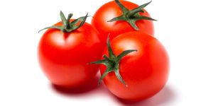 Tomato