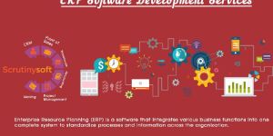 ERP Software Development Service
