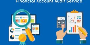 Financial Account Audit Service