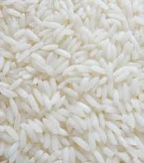 Paddy Rice