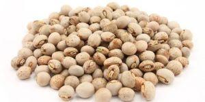 Pigeon Peas