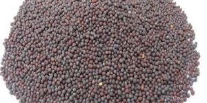 Mustard Seeds