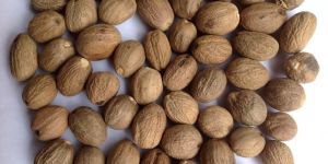 Shelled Nutmeg