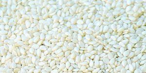 White Sortex Sesame Seeds