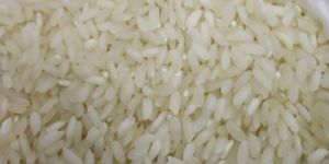 Sona Masoori Steam Rice