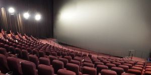 Cinema Projection Screen