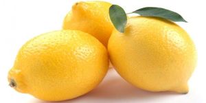 Fresh Lemon