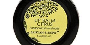 Vedic Concepts Banyan & Saint Organic Lip Balm-Citrus