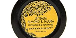 Vedic Concepts Banyan & Saint Organic Lip Balm- Almond & Jojoba