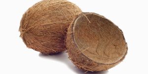 Coconut Shell
