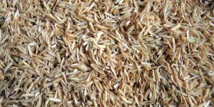Rice Husk