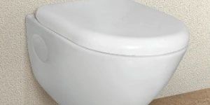 Wall Hung Toilet Seat