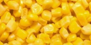American Sweet Corn