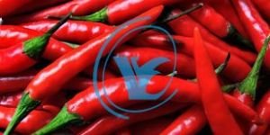 Chillies