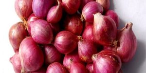 Fresh Small Onion