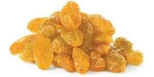 Golden Raisin