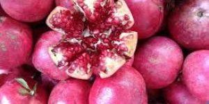Organic Pomegranate