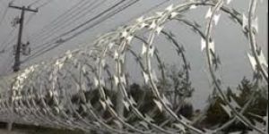 Razor Blade Wire