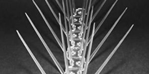 Bird Control Service