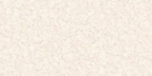 600 X 600 Nano Charged Vitrified Tiles