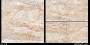 600 X 600 PGVT Tiles