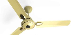 BLDC Ceiling Fan