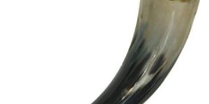Viking Drinking Horn